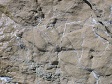 Ocean Rock Texture.jpg